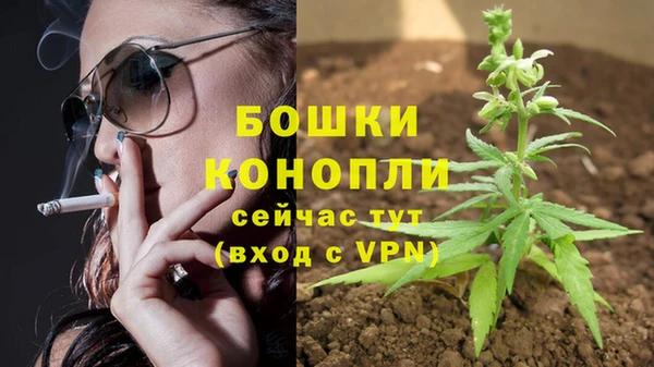 стафф Аркадак