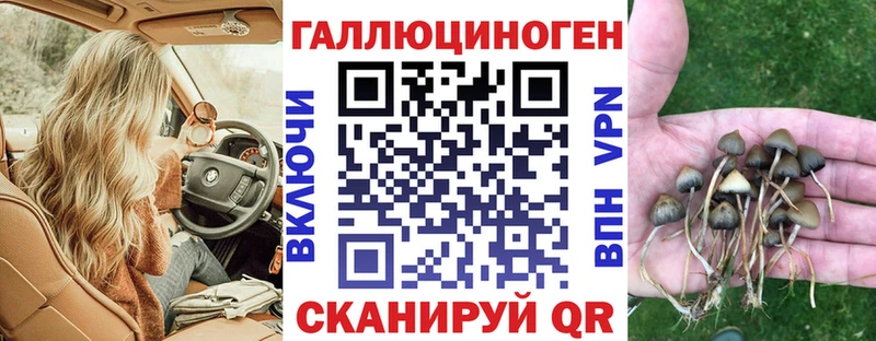 Псилоцибиновые грибы мухоморы даркнет телеграм Северобайкальск ОМГ ОМГ ссылки